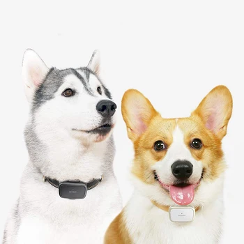 PETBIZ, долговечный аккумулятор, Умный мини GPS-трекер для домашних животных, локатор собак в реальном времени, монитор активности, Водонепроницаемый Поиск собак с приложением 2